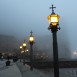 IMG_8251 (Large)