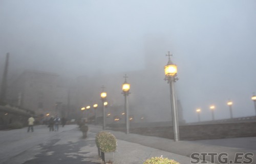IMG_8252 (Large)