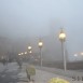 IMG_8252 (Large)