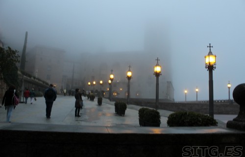 IMG_8254 (Large)