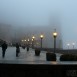 IMG_8254 (Large)