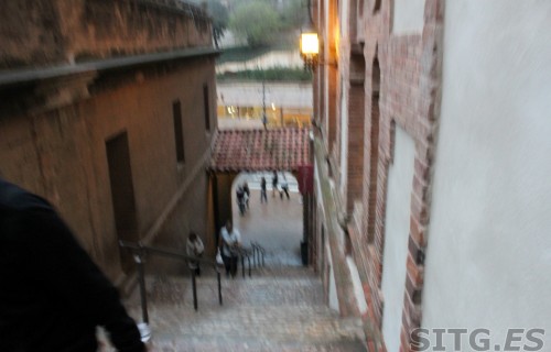 IMG_8255 (Large)