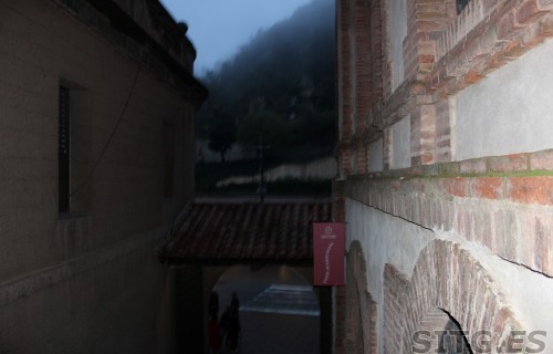 IMG_8257 (Large)