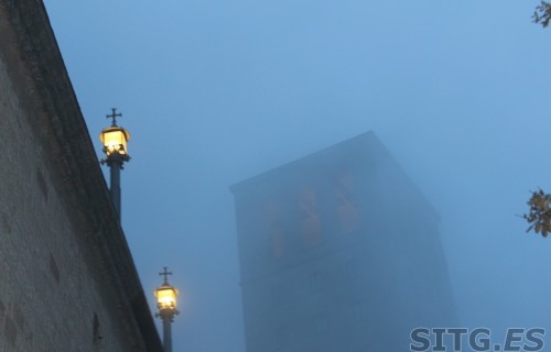 IMG_8263 (Large)