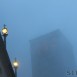 IMG_8263 (Large)