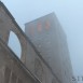 IMG_8264 (Large)