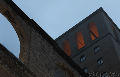 IMG_8266 (Large)