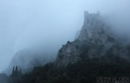 IMG_8267 (Large)