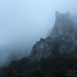 IMG_8267 (Large)