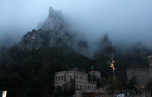 IMG_8268 (Large)