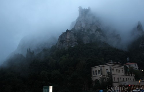 IMG_8269 (Large)