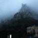 IMG_8269 (Large)