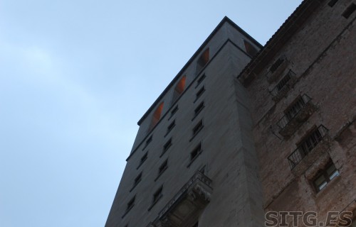 IMG_8271 (Large)