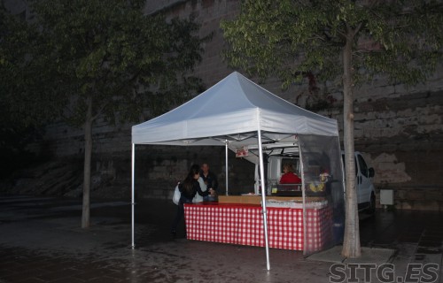 IMG_8274 (Large)