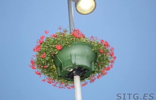 IMG_8275 (Large)
