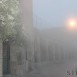 IMG_8283 (Large)