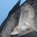IMG_8290 (Large)