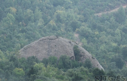 _MG_8049 (Large)