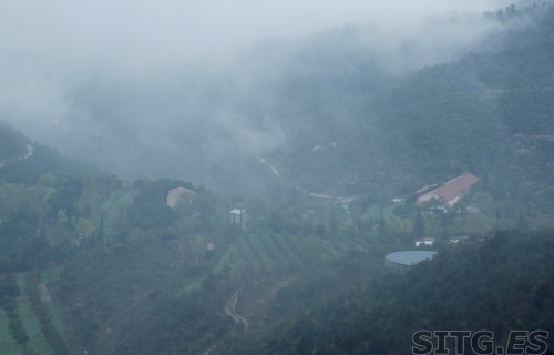 _MG_8051 (Large)