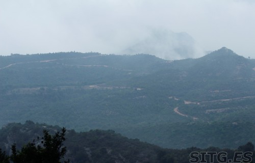 _MG_8052 (Large)