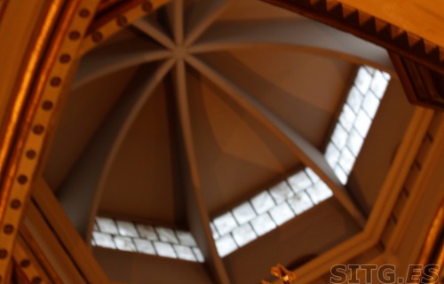 _MG_8064 (Large)
