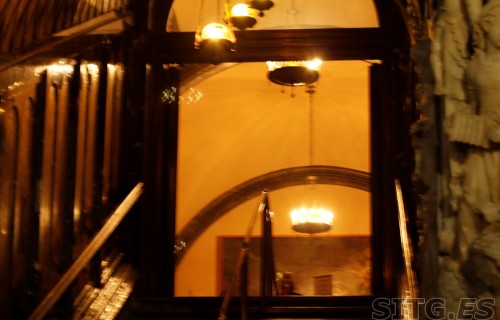 _MG_8069 (Large)