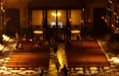 _MG_8093 (Large)