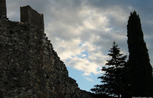 img_5367