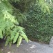 img_5871
