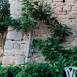 mg_9961-medium