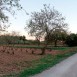 mg_9968-medium