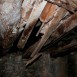 mg_9980-medium