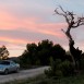 mg_9986-medium