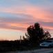 mg_9987-medium
