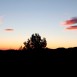 mg_9989-medium