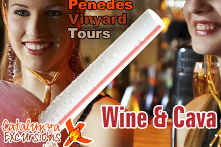 Wine Vinyard Tour Penedes Region