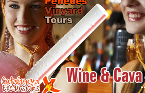 Cat-Exc-Penedes-wine-vinyar