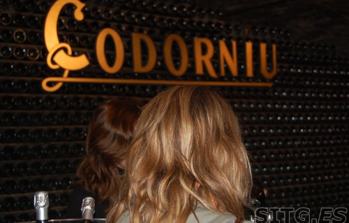 Sitges-Cava-Tour-128