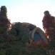 Sitges-Cava-Tour-207