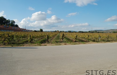 Sitges-Cava-Tour-212