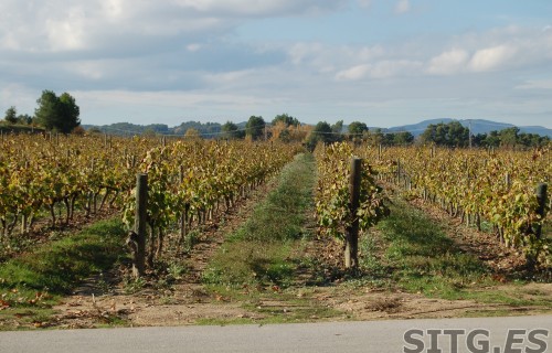 Sitges-Cava-Tour-213