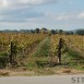 Sitges-Cava-Tour-213