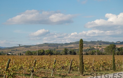 Sitges-Cava-Tour-214