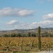 Sitges-Cava-Tour-214