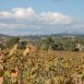 Sitges-Cava-Tour-215