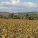 Sitges-Cava-Tour-216