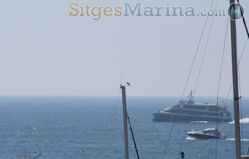 Sitges-Ferry-Port-Marina65