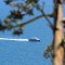 Sitges-Ferry-Port-Marina81