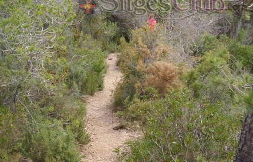 Sitges-club-trek-garraf040