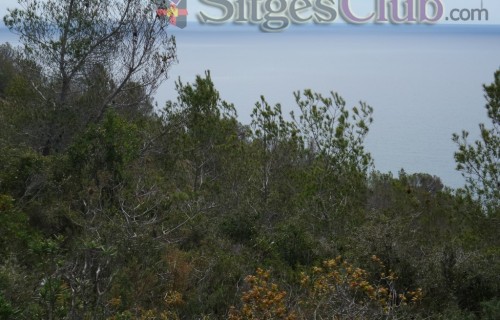 Sitges-club-trek-garraf041